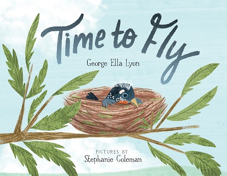 Cover of Time to Fly
