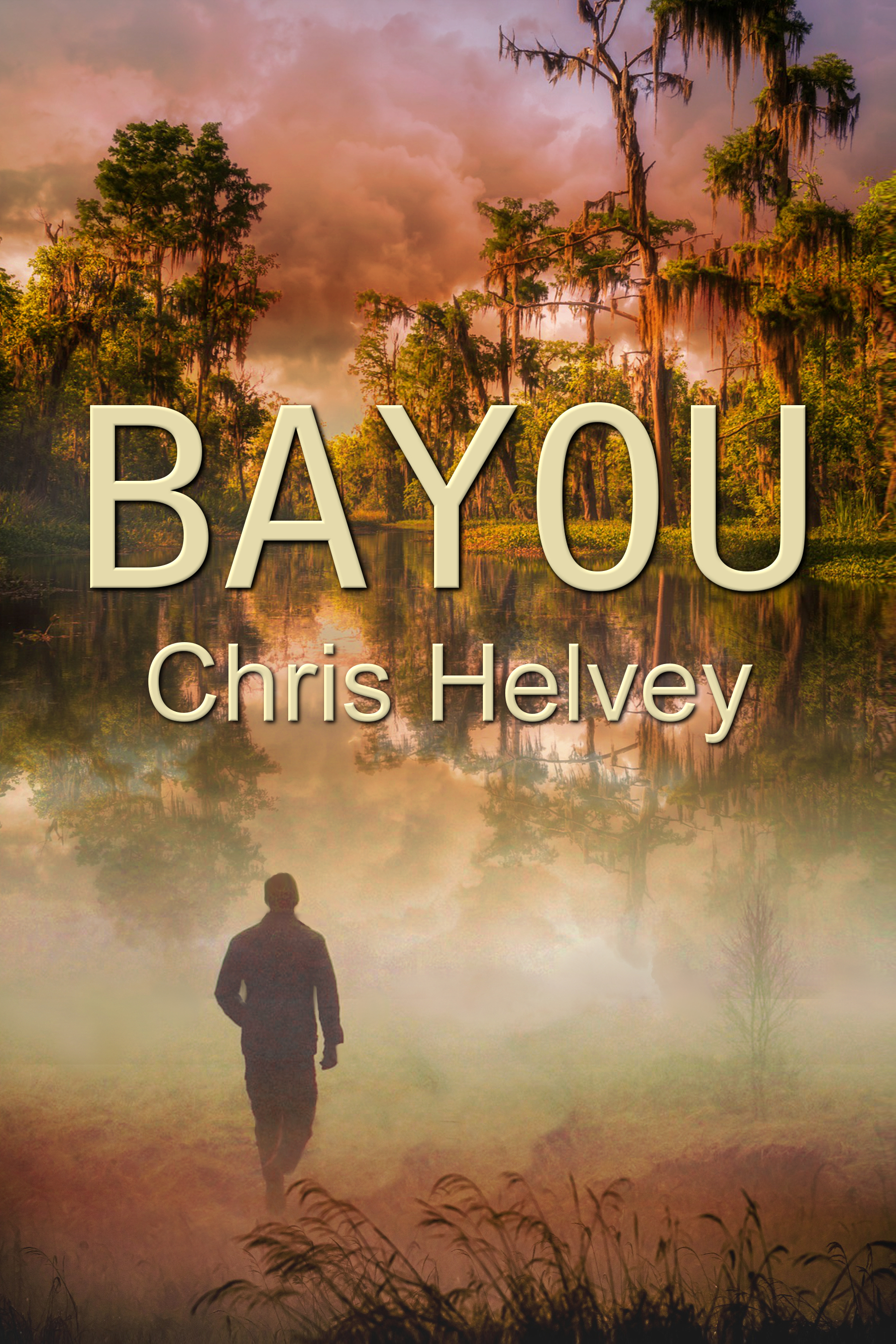 Bayou cover
