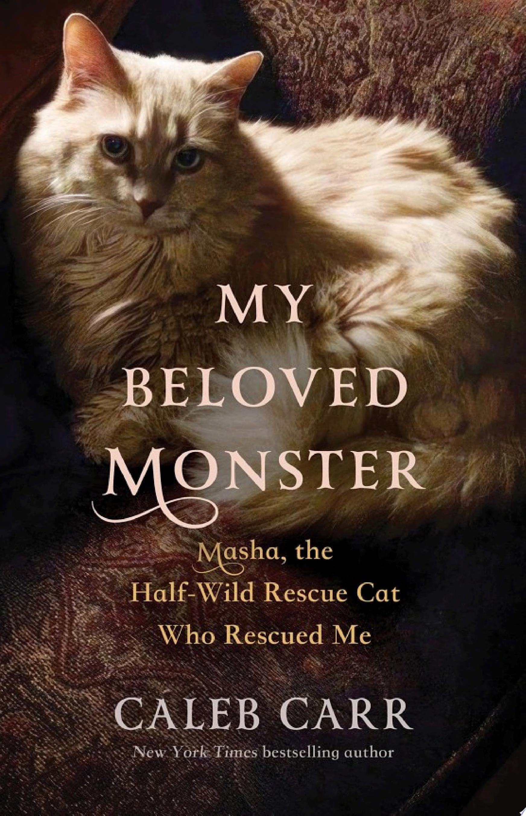 Image for "My Beloved Monster"