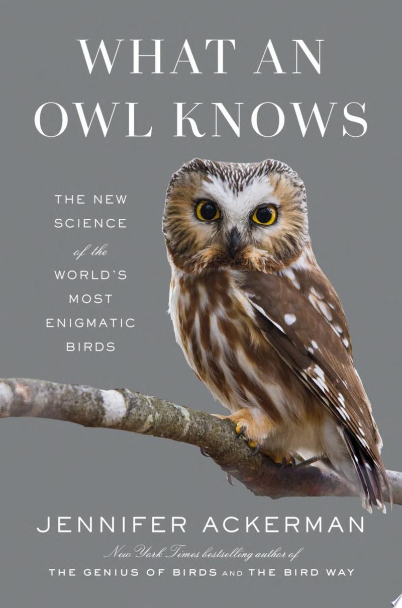 Image for "What an Owl Knows"