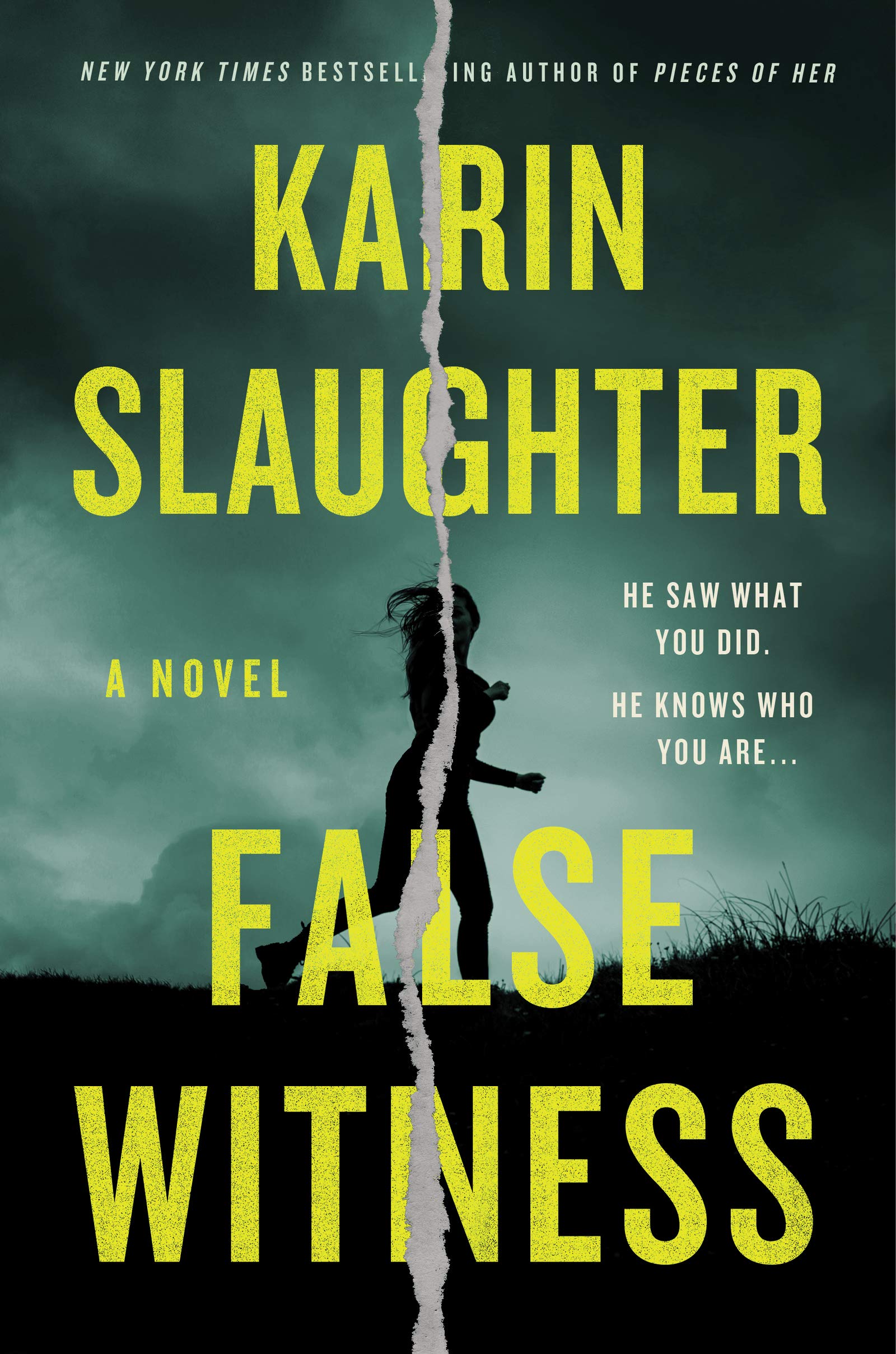 Book Cover image for False Witness